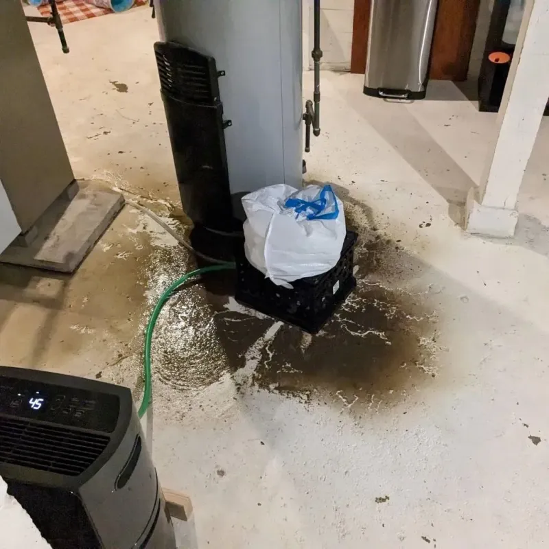 Sewage Backup Cleanup Service in Crowley County, CO